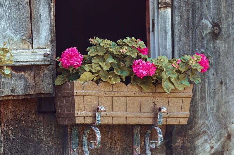 Container gardening