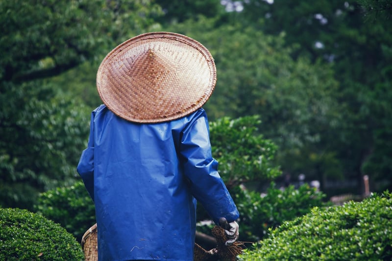 Gardening Workshop